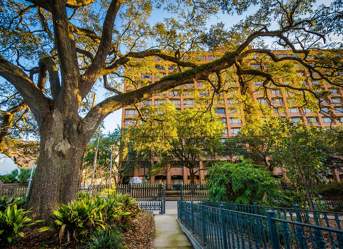 About Our Agency - Closeup of a Mature Oak Tree in a Park Surrounded by an Iron Fence with Buildings in the Background Against a Blue Sky